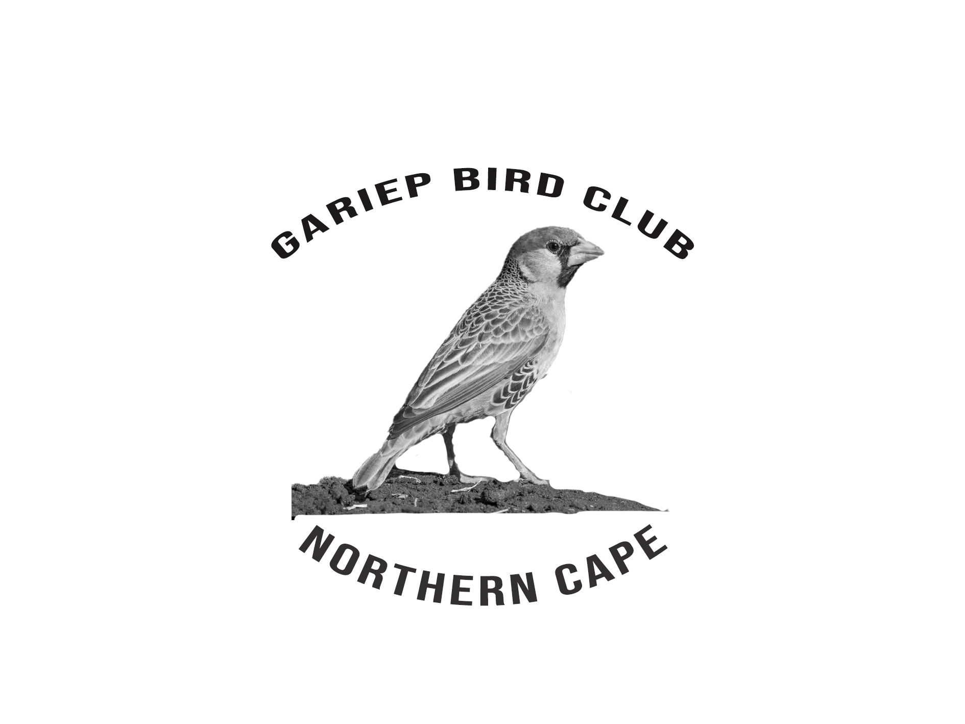 Gariep Birdclub Logo